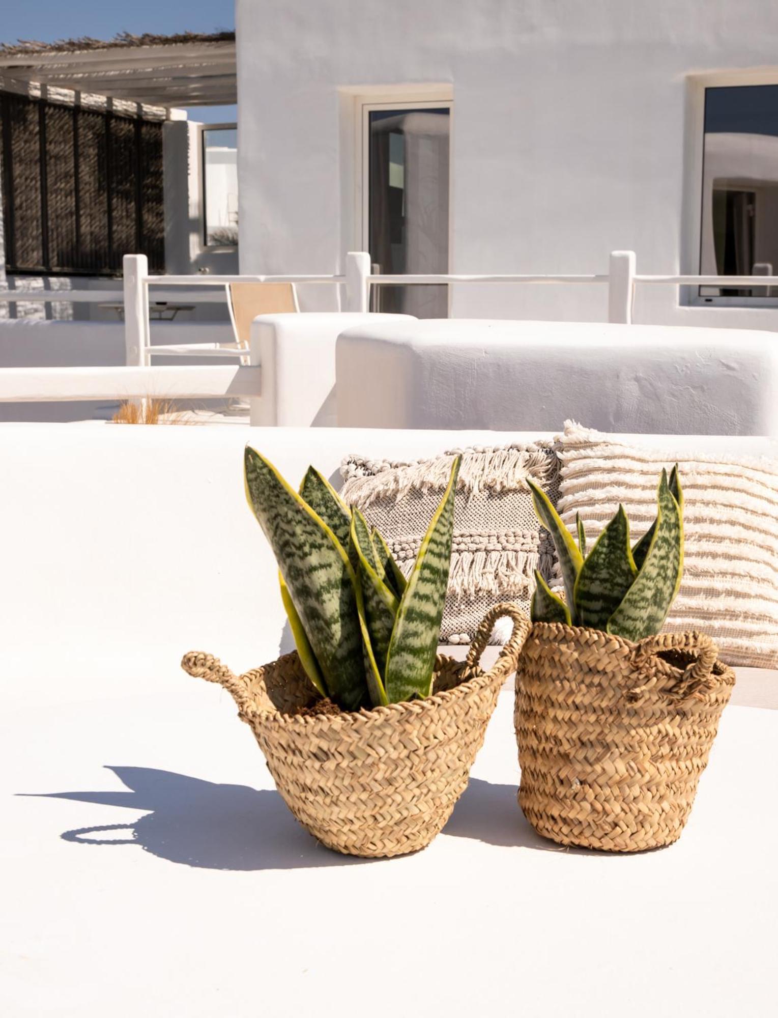 Rocabella Mykonos Hotel Agios Stefanos  Buitenkant foto
